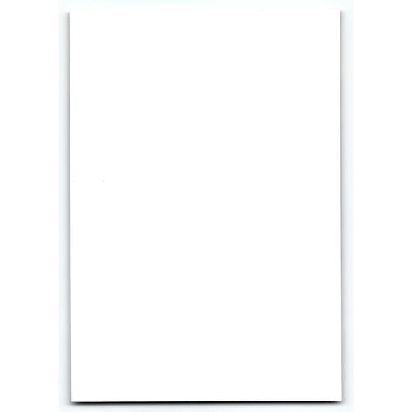 Vintage Halloween Postcard with Skeleton Children and Red Flowers, Photochrome - Picture 2 of 2